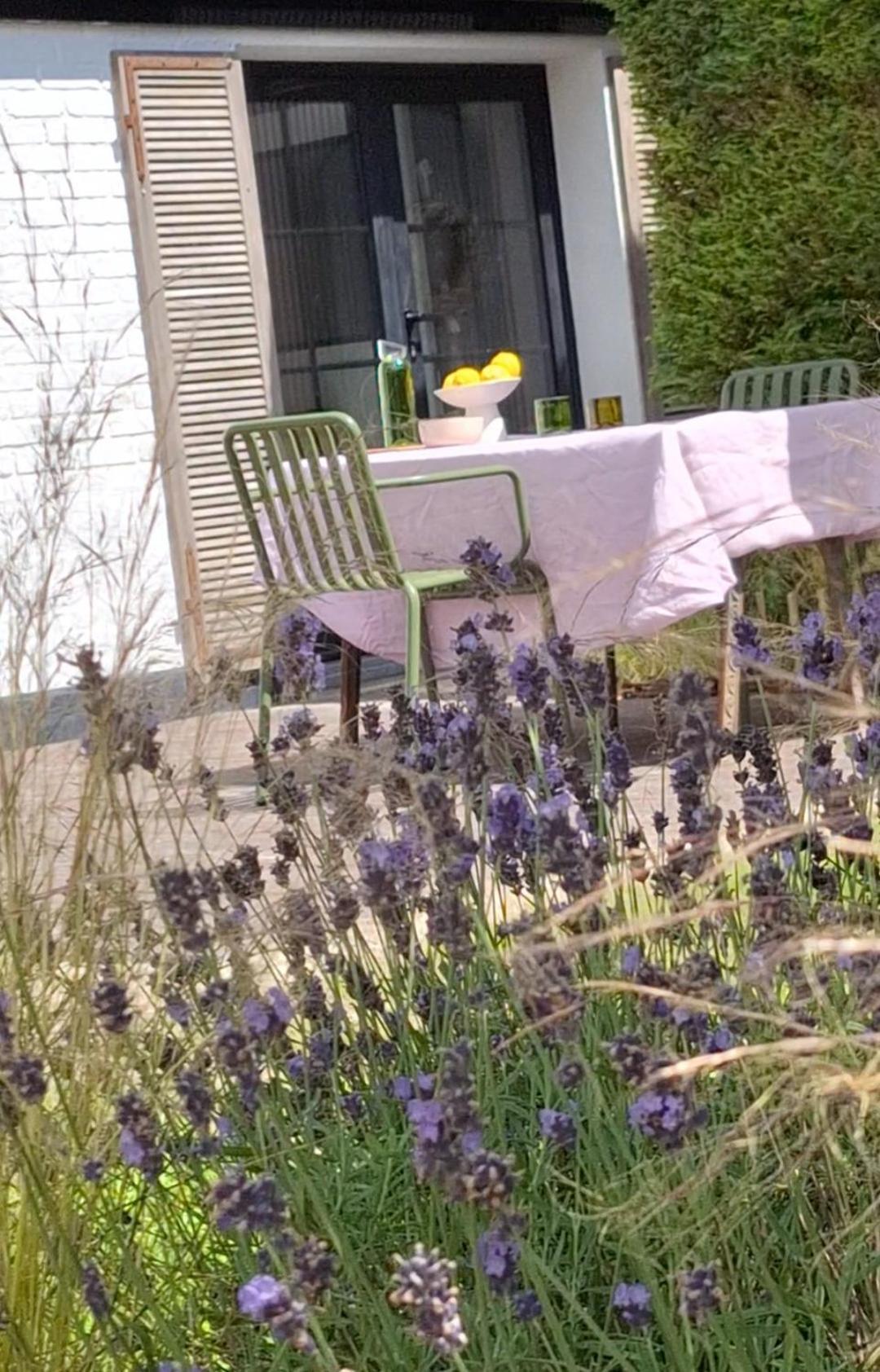 Maison Brunes *